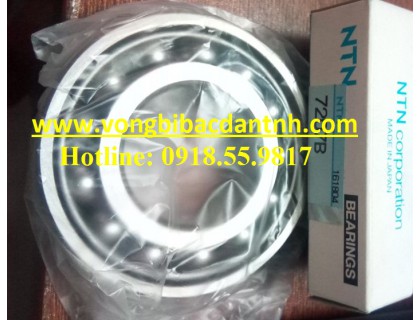 BẠC ĐẠN 7207B - NTN